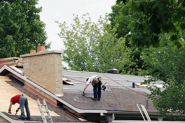 Best Best Roofing Contractors  in Luray, VA